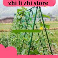 4 Sizes Garden Plant Climbing Net Stand Holder Green Nylon Trellis Netting Mesh Support Bean Growing Fence Net Line