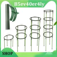 B5ev40er4ly Shop 4Pcs Plastic Plant Support Pile Orchid Stand Holder For Flowers Semicircle Greenhouses Fixing Rod Holder Bonsai