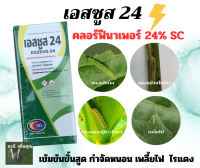 เอสซูส24  สารคลอร์ฟีนาเพอร์สูตรเข้มข้น24% กำจัดหนอน เพลี้ยไฟ ไรแดง