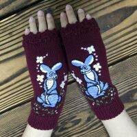 Women Fingerless Mittens Half Finger Gloves Rabbit Embroidery Winter Arm Warmers for Cold Weather Accessories