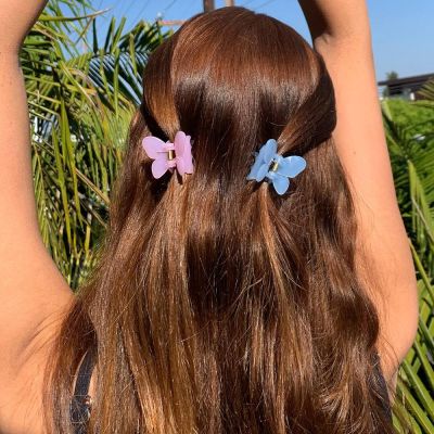Mini Butterfly Hair Claw For Women Girls Acrylic Hair Accessories Scrub Black Hair Claw Clips Crab For Hair Simple Hair Clamps