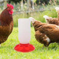 BLENASHOP 2pcs Portable Poultry Feeder Chickens Duck Water Container Food Eating เครื่องมือรับประทานอาหาร