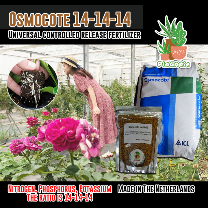 Osmocote Slow Release Fertilizer 14-14-14 | Lazada PH