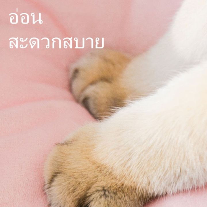 codเบาะนอนสัตว์เลี้ยง-ที่นอนสุนัข-ที่นอนแมว-โอเวอร์ไซส์-วางสัตว์เลี้ยงได้หลายตัว-น่ารักมาก-อบอุ่นสุดๆ