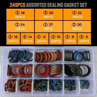 100 Buah/245 Buah Set Paking Penyegelan Beraneka Ragam Ukuran M6 - M30 Karet Pencuci Gasket Mur dan Baut Set Aneka Set Cincin Datar