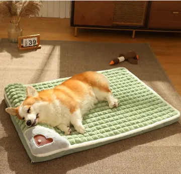 Pet Floor Mat Waterproof - Best Price in Singapore - Dec 2023