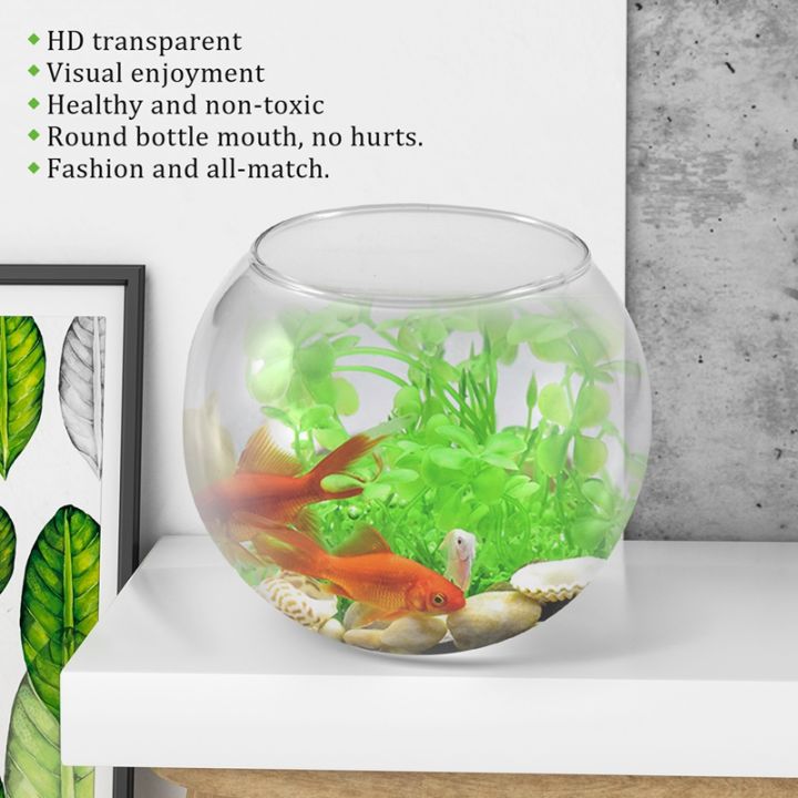 round-sphere-vase-in-transparent-glass-fish-tank