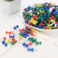 100PCS Binding Cork Board Safety Colored Plastic Pin Big Head Push Needle Pins Drawing Photo Wall Studs Office School Supplies Clips Pins Tacks