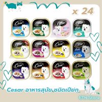 ซีซาร์®อาหารสุนัข ชนิดเปียก แบบถาด 100กรัม 24 ถาด Caesar® Wet Dog Food, 100g tray, 24 trays