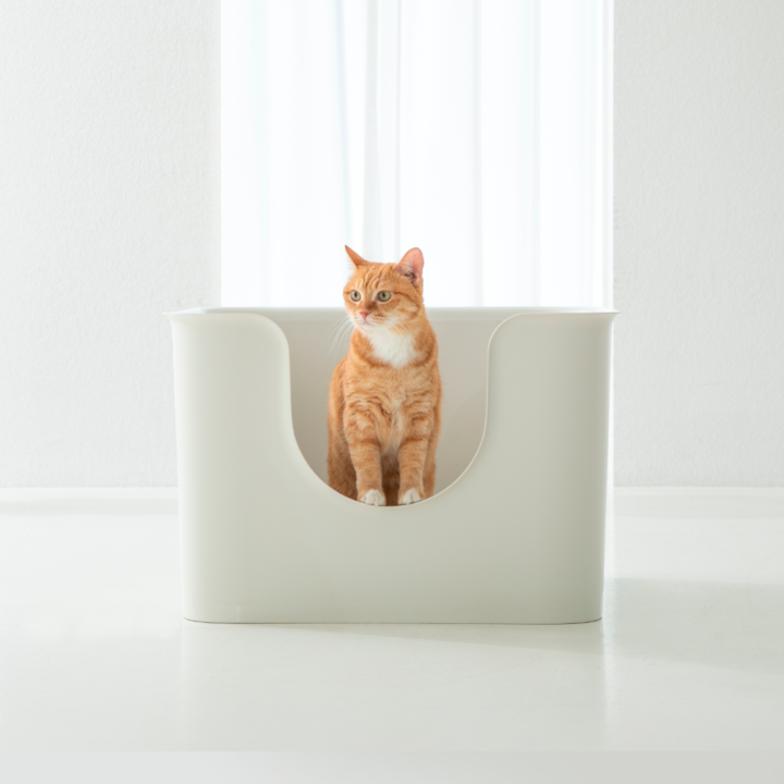 duit-poo-poo-box-กระบะทรายแมว-duit-ห้องน้ำแมว