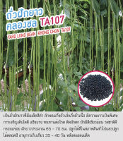 เมล็ดพันธุ์ ถั่วฝักยาว เมล็ดดำ สายพันธุ์ คลองชล TA107 - Yard Long Bean ตราดอกแตง เมล็ดพันธุ์คุณภาพ "เพื่อนเกษตรกร"