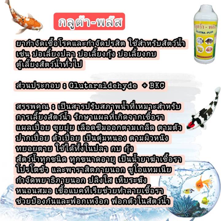 ฆ่าเชื้อโรค-กักโรคปลาใหม่-กำจัดปรสิต-ปลิงใส-พยาธิภายนอก-แผลจากปรสิต-กลูต้า-พลัส-1-ลิตร