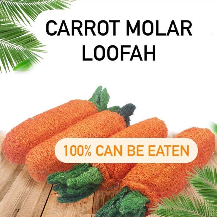 Natural Carrot Loofah🥕Pet Carrot Molar Toys Chew Play Loofah for Rabbit