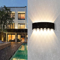 Outdoor Wall Lamp 85V-265V IP65 Waterproof Outdoor Lamp 2W 4W 6W 8W 10W 12W Outdoor LED Lighting