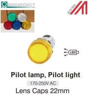 ไฟตู้คอนโทรล ไพลอต แลมป์/ Pilot lamp / Pilot light ไฟ VAC ขนาด 22 มม. เลือกสี- BENEDICT (Made in Austria)