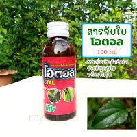 สารจับใบ ชนิดเข้มข้น ตราโอตอล 100ml ช่วยเพิ่มประสิทธิภาพของปุ๋ย/ยาป้องกันกำจัดศัตรูพืช ช่วยการยึดเกาะใบ