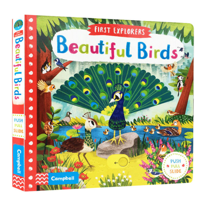 Little Explorer Series beautiful birds original English picture book first explorers beauti