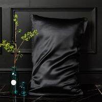 【hot】♘☁♘ DISANGNI Silk case for Hair and 22 Momme Both Sides Bed Cover