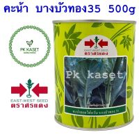 เมล็ดคะน้า บางบัวทอง35 ขนาด 500g ตราศรแดง กระป๋อง คะน้ายอดไต้หวัน