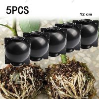 5pcs 12cm Plant Rooting Ball Grafting Rooting Growing Box Breeding Case Container Nursery Box For Garden Root WB15TH