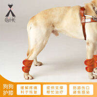 【cw】 Dog Warm Kneecap Postoperative Support Care Leg Gaurd Set Knee Insulation Bandage Factory Wholesale ！