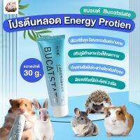 [HiHamster]โปรตีนหลอดแบรนด์ Bucatstate ขนาด 30g.