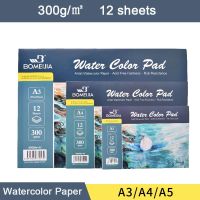 100 Cotton 300g/m2 Watercolor Paper Water Color Drawing Paper SketcBook Professional Paper Gift for Artist Art Supplies 12sheet