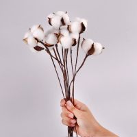 Artificial Dried Cotton Flowers White Flower Branch For Wedding Party Decoration Fake Flower Home Flower Decor Eucalyptus Leaves