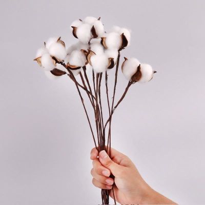 【cw】 Artificial Dried Cotton Flowers WhiteBranchWeddingDecoration FakeHomeDecor Eucalyptus Leaves