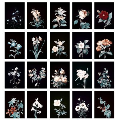 การวิจัยพฤกษศาสตร์ตลาดดอกไม้ผ้าใบสีดำพิมพ์ภาพวาดสำหรับตกแต่งบ้าน-ห้องปฏิบัติการภาพผนังศิลปะของดอกไม้ที่สวยงามและพืช