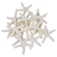 15 Pieces creamy-white Pencil Finger Starfish For Wedding Decor Home Decor And Craft Project