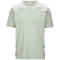 เสื้อยืด รุ่น ANSER ALPINE F1 Grey Lt-Liquid Blue-Red