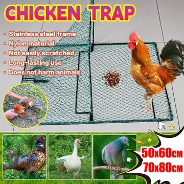 Buy Trap For Wild Chicken online