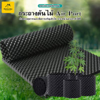 กระถางปลูกต้นไม้ Air Pot กระถางมีรู กระถางเพิ่มรากเร็วขึ้น 2 เท่า มี 5 ขนาดให้เลือก #B-071