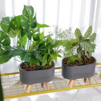 Automatic Self-Watering Plastic Plant Pot with Water Level Indicator Floor Table Flowerpot Planter with Wooden Bracket