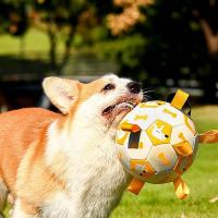 ของเล่นสุนัข Interactive Football Toys With Holders Dog Outdoor Training Soccer Bite Chew Balls For Dog Accessories