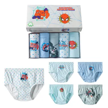 4 PCS Kids Hello Kitty Panties Girls Underwear Seluar Dalam Budak Perempuan  Comel