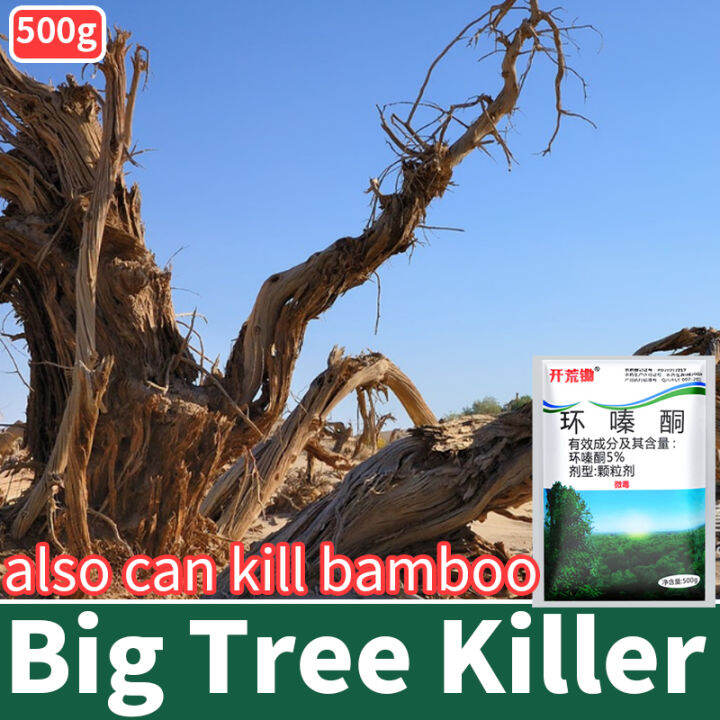 kill tree and bamboo tree killer 环嗪酮 hexazinone bamboo and root removal