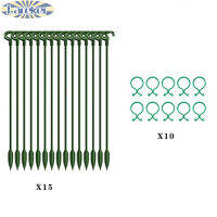 15ชิ้นแท่ง10ชิ้นหัวเข็มขัดสวนบอนไซสนับสนุนเดิมพัน S Tander ลำต้นเดียวไม้พุ่มผู้ถือดอกไม้กระถางสนับสนุนก้าน