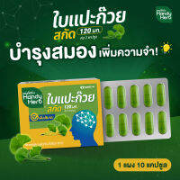 HandyHerb ใบแปะก๊วยสกัดสูตรใหม่ ขนาดแผงคุ้มค่า สมุนไพรเสริมความจำ ทานประจำคุ้มกว่า