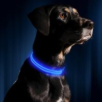 ZZOOI Usb Charging Led Dog Luminous Collars Adjustable Anti-Lost/Avoid Car Accident Night Light Safety Led Dogs Collar Pet Accessories