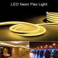 ไฟเส้น LED Neon Flex แบบ AC220V แสง Warmwhite ม้วน50เมตร