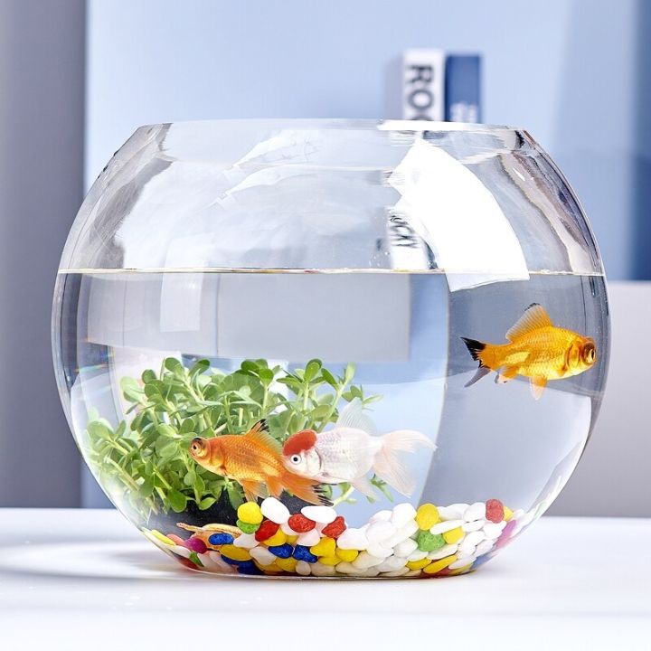 (Glass) Aquarium Fishbowl Home Decoration Round Bowl Fish Tank - 14cm x ...