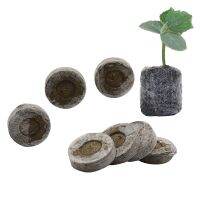 【hot】☍  Block Peat Pellets for Garden Flowers Planting Agriculture  Cultivation 10 Pcs