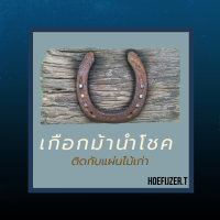 เกือกม้านำโชคติดกับแผ่นไม้เก่า? Lucky Horseshoe ของขวัญสำหรับโอกาสพิเศษ