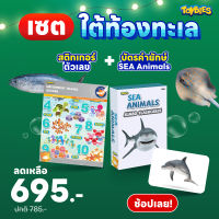 Toybies แฟลชการ์ด+สติ๊กเกอร์กันน้ำ (ชุดของขวัญ)