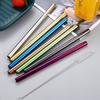 Durtens Stainless Steel Plastic Straws Drinking Tubes Drinkware Drink Straws Eco-Friendly Metal Straw Reusable Rainbow Straw Set Specialty Glassware