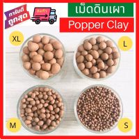 ?ส่งเร็ว เม็ดดินเผา มวลดินเผา Popper Clay เม็ดดินสีอิฐ ขนาด S/M/L/XL ถุงละ 1 ลิตร ดินเผาโรยหน้าดิน ดินเผาใส่หน้าดิน ดินสีน้ำตาล แคคตัส