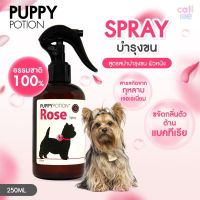 Puppy Potion Rose Spray สปาบำรุงขนสุนัข ธรรมชาติ100% 250ml.[DG07]