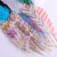 Natural Goose Feather 10Pcs Multicolor Multipurpose Diy Clothing Crafts Ornaments 6 Practical Clothing Essories